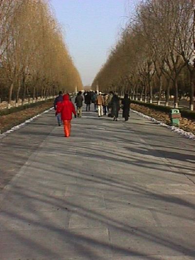 kina124.jpg   38,1K   