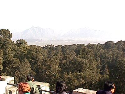 kina130.jpg   24,2K   