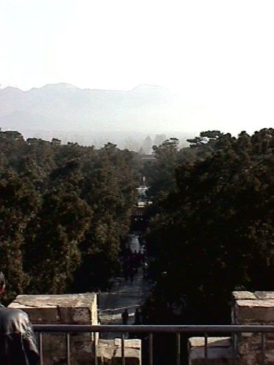 kina131.jpg   27,3K   